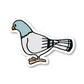 Pigeon Vinyl Sticker