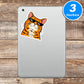 Meme Cat Stickers Vinyl Stickers