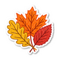 Fall Leaves Vinyl Sticker