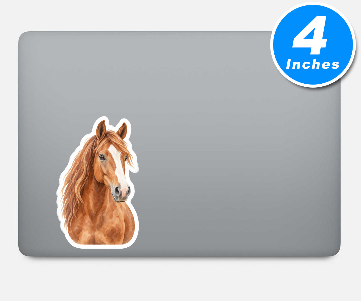Horse Stickers Vinyl Stickers