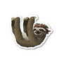 Sloth Vinyl Sticker