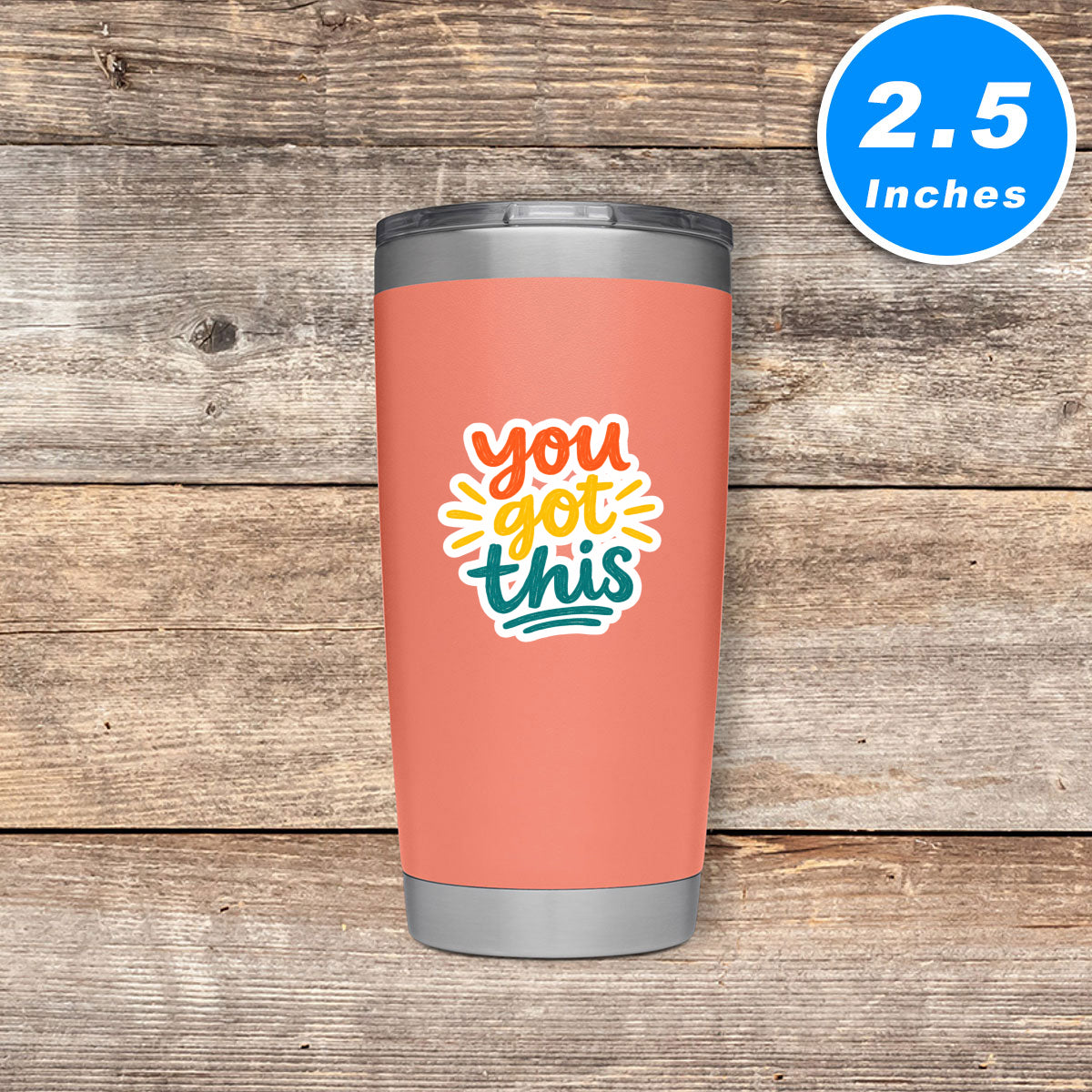 You Got This Stickers Vinyl Stickers