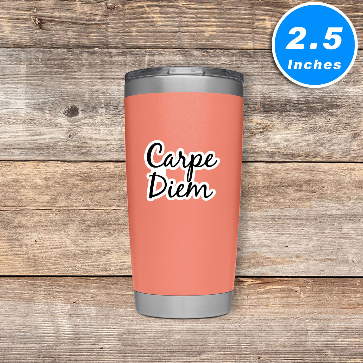 Carpe Diem Vinyl Stickers