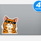 Meme Cat Stickers Vinyl Stickers