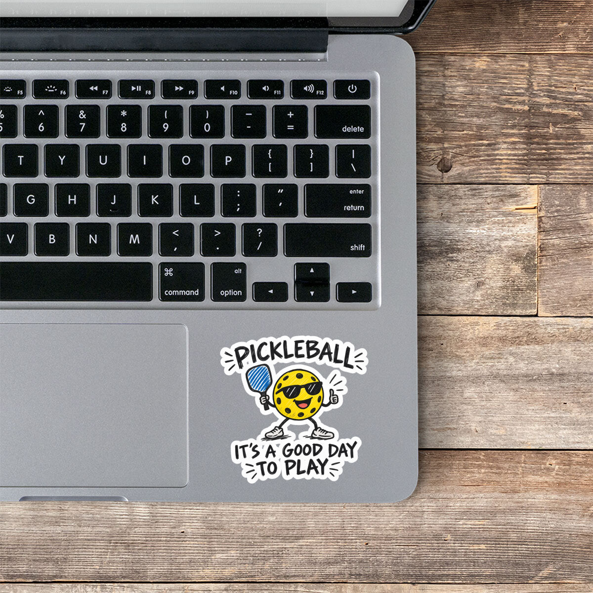 Pickleball Vinyl Stickers